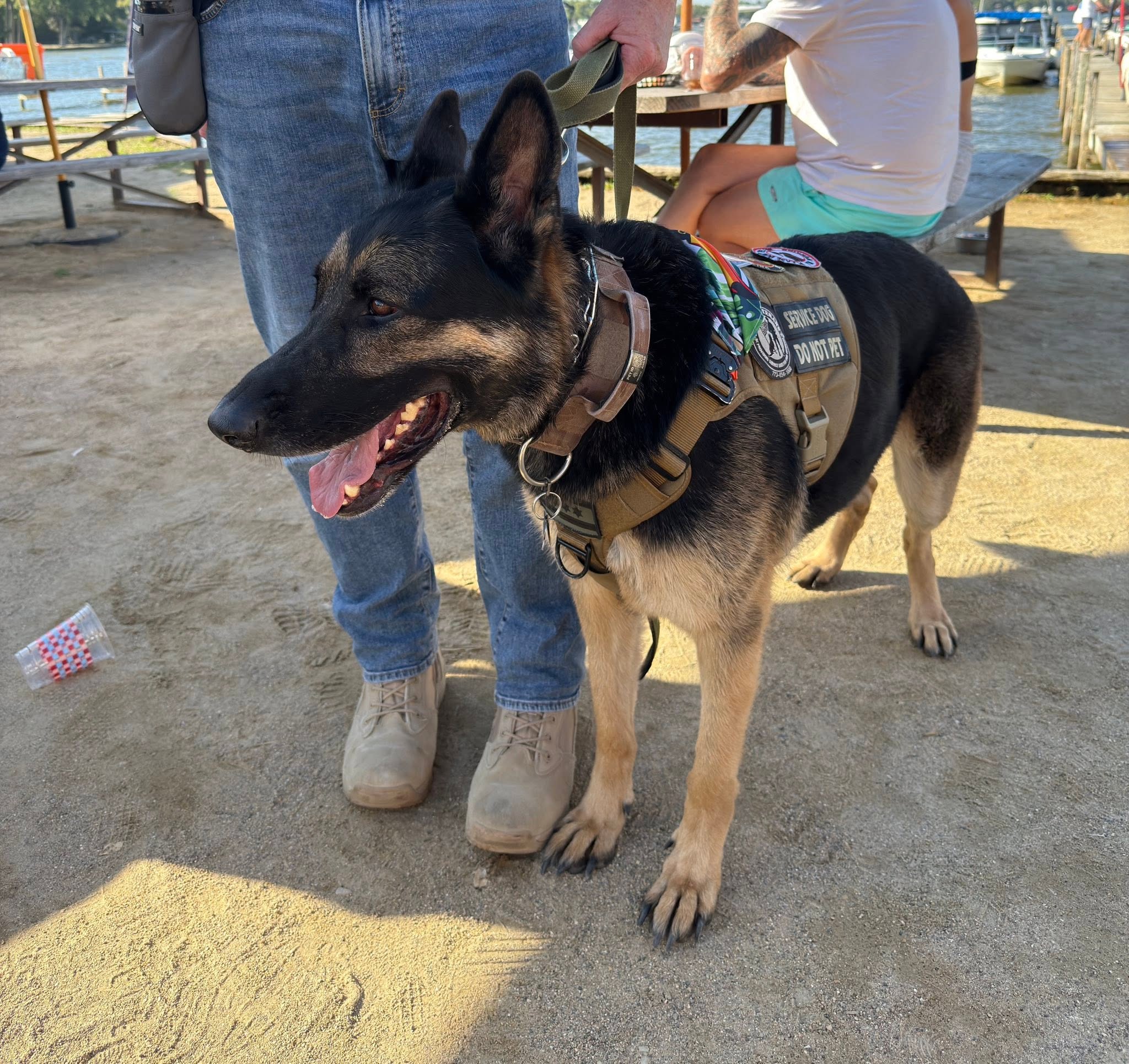 Help A Vet Get A Pet (ServiceDog)